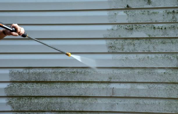 Attic Mold Removal in Hooper, UT