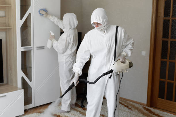 Best Professional Mold Removal  in Hooper, UT